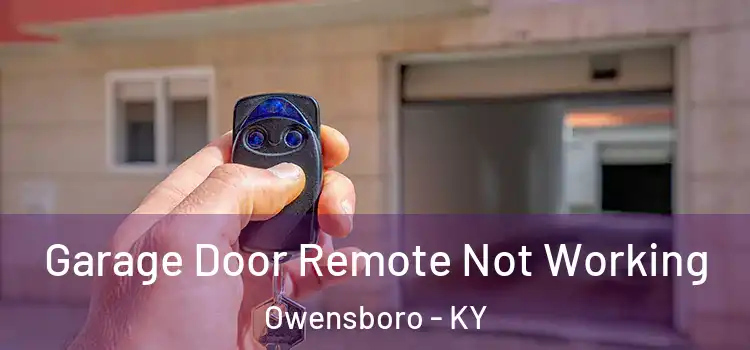  Garage Door Remote Not Working Owensboro - KY