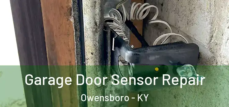 Garage Door Sensor Repair Owensboro - KY